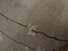 -成都天府丽都喜来登饭店