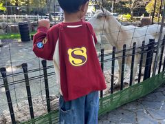 -神户市立六甲山牧场