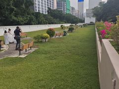 -九龙公园