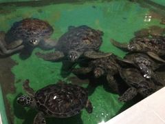 -常州海昌海洋探索馆