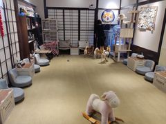 -逗柴咖啡屋·狗咖猫咖宠物桌游