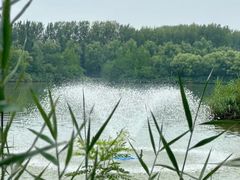 -翠湖国家城市湿地公园