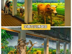 -广东中医药博物馆