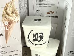 -野人先生现做冰淇淋(西安赛格店)