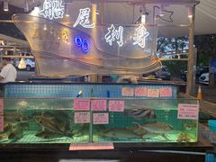 -荔城生鲜盛宴(番禺旗舰店)