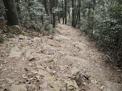 -西湖风景区十里琅珰-五云山