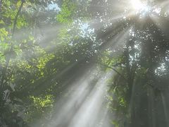 -北京植物园-展览温室