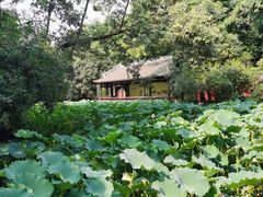 -成都武侯祠博物馆