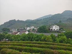 -龙井村