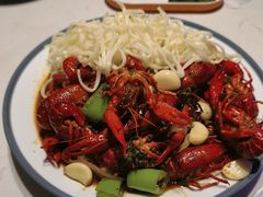 -杨氏青龙虾·羊蝎子(托乐嘉店)