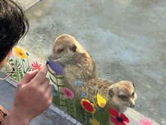 -红山体育度假乐园