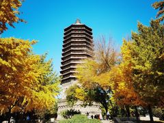 -玲珑塔公园