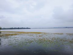 -西昌邛海湿地