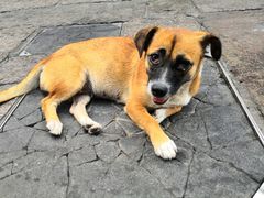 -状元楼(东大街店)