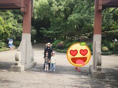 -杭州半山国家森林公园