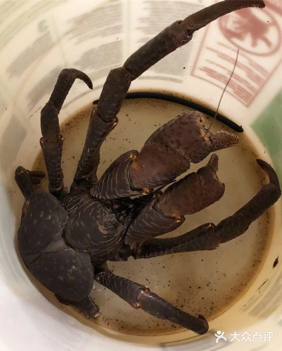咪咪家的餐厅图片