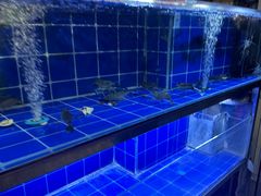 -星椰叻沙·椰浆鲜虾面(江南西店)