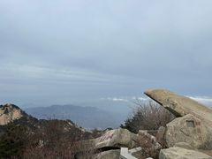 -醉得意·山茶油炒土鸡(泰安火车站大润发店)