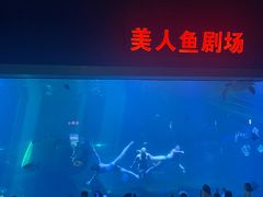 -福州罗源湾海洋世界旅游区