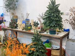-双季花艺园艺市场(浦东店)