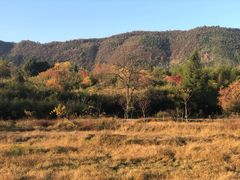 -塔川景区