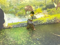 -陕西自然博物馆