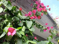 -四川大学(华西校区)