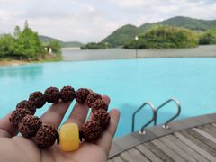 -宁波九龙湖开元度假村