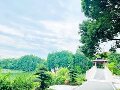 -东湖生态旅游风景区
