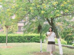 -广东财经大学(佛山校区)