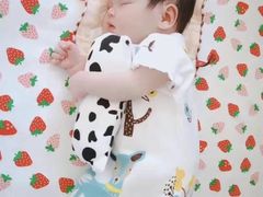 -爱月宝月嫂·育儿嫂(哈尔滨总店)