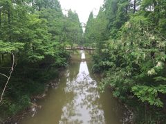 -黄海国家森林公园