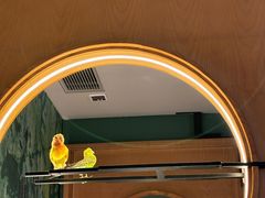 -小菜园新徽菜(青岛市南万象城店)