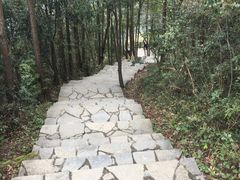 -武陵山森林公园
