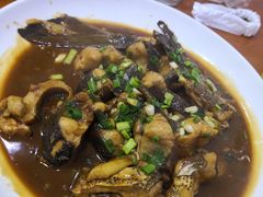 -全乐鱼馆·淳牌有机鱼直营店