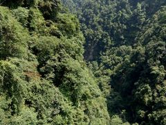 -洪盛堂(净居寺南街店)