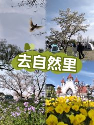 -玄武湖景区-情侣园游乐场