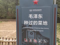 -延安杨家岭革命旧址