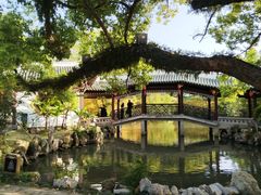 -江心屿景区