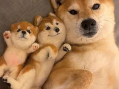 -袁记串串香(新南门店)