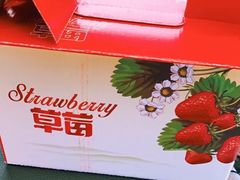 -青浦采草莓天天草莓园