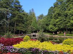 -庐山风景区花径公园