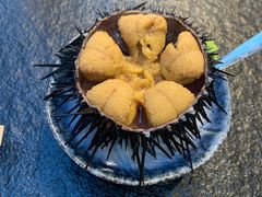 -桂马·日本料理·海胆·海鲜饭·酒场(民主广场店)