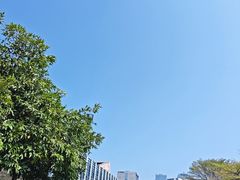 -顺德演艺中心大剧院