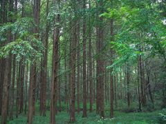 -小格里自然风景区
