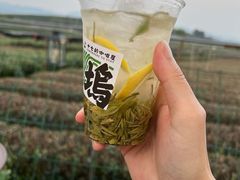 -龙坞茶村