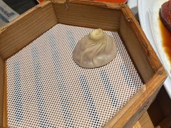 -小厨娘金榜题名(夫子庙秦淮河店)