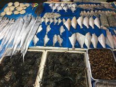 -鑫朱雀农贸批发市场