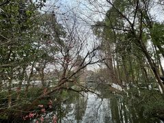 -乌镇景区