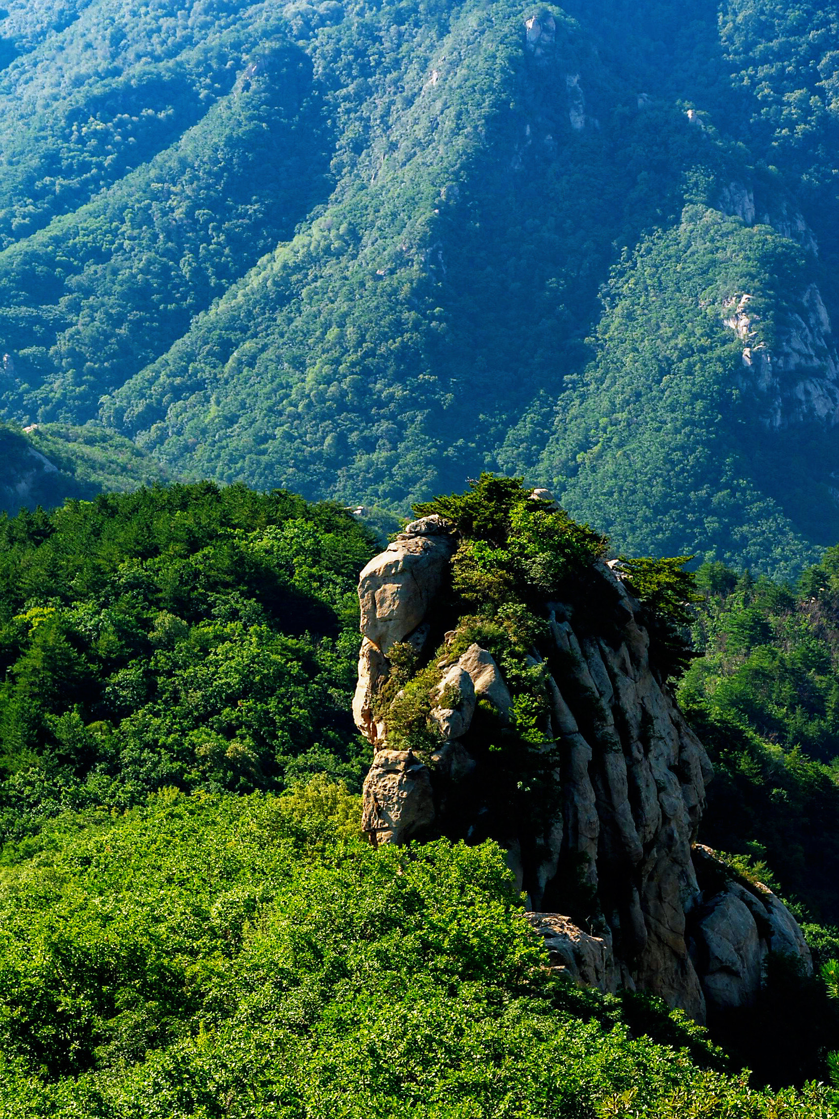 沂蒙山风景区门票图片